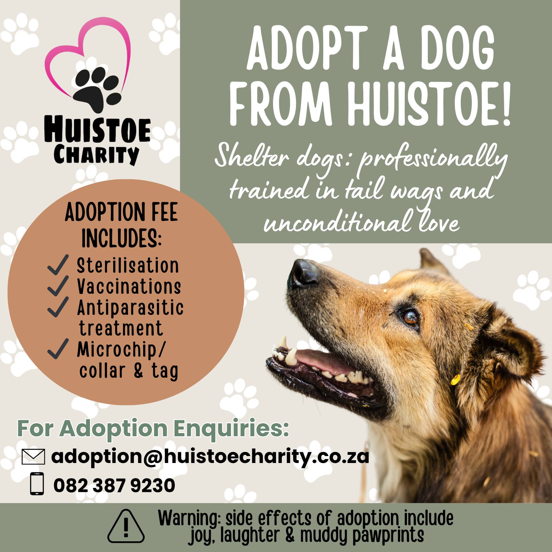 How to Adopt